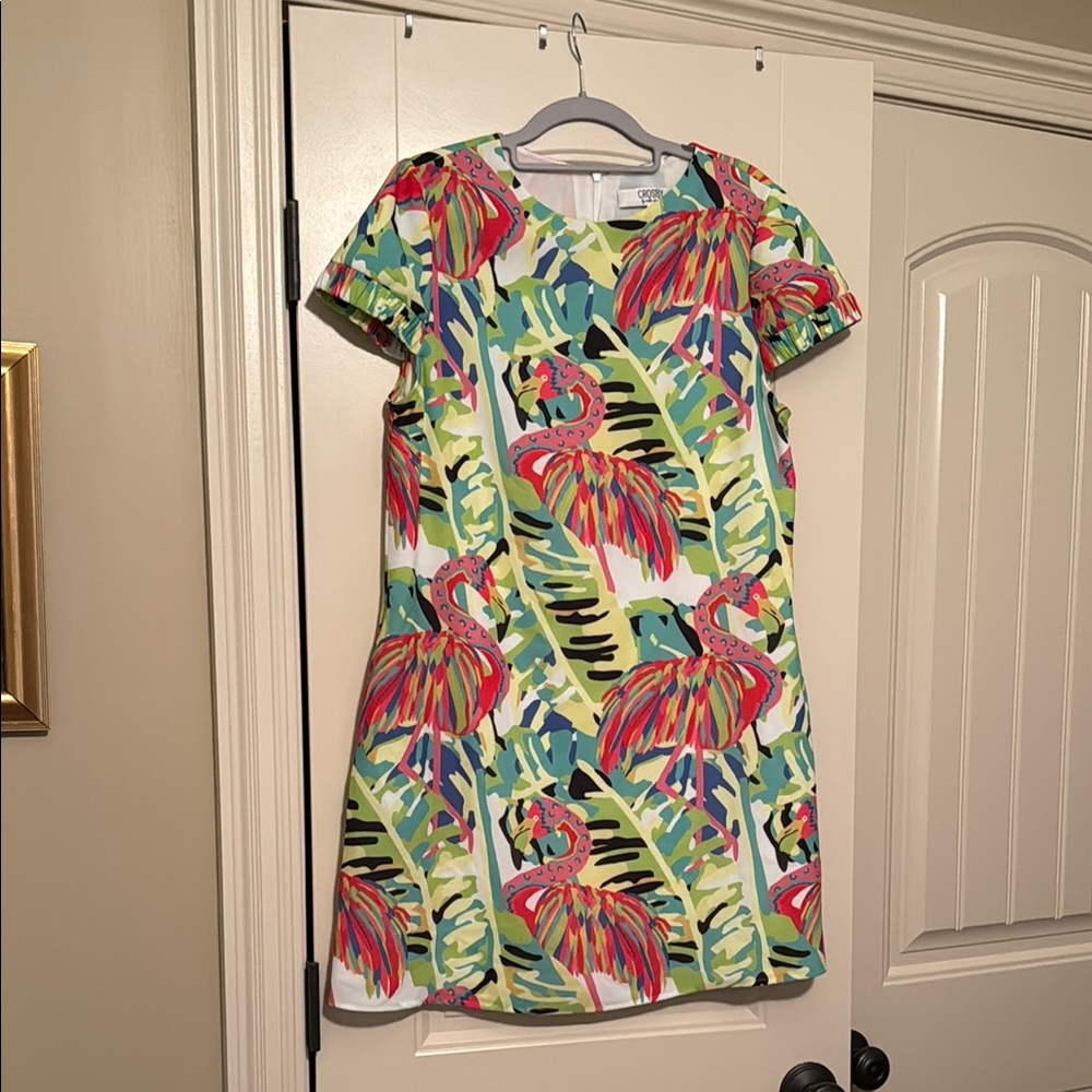 CROSBY by Mollie Burch Green and Pink dress.